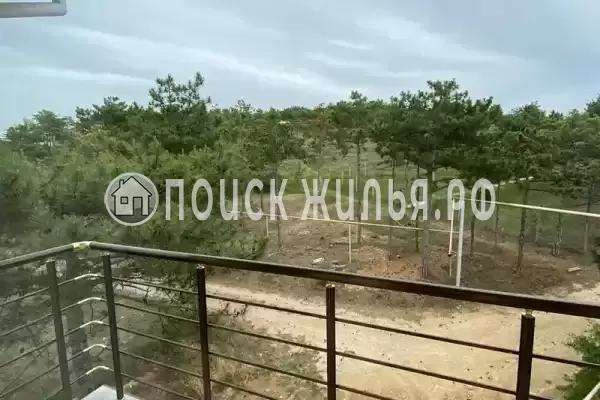 «Пчелка Майя» «Пчелка Майя»