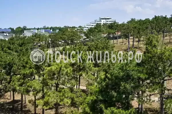 «Пчелка Майя» «Пчелка Майя»