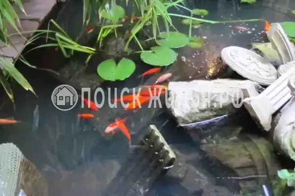 «Домик в Ялте»