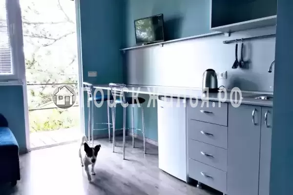 «Сосновая горка» «Сосновая горка»