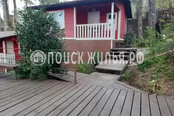 «Сосновая горка» «Сосновая горка»