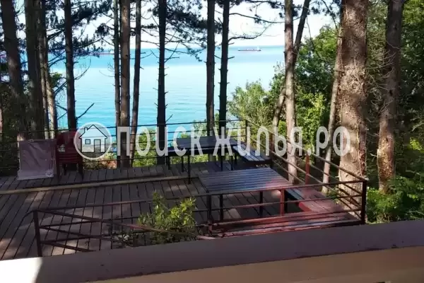 «Сосновая горка» «Сосновая горка»