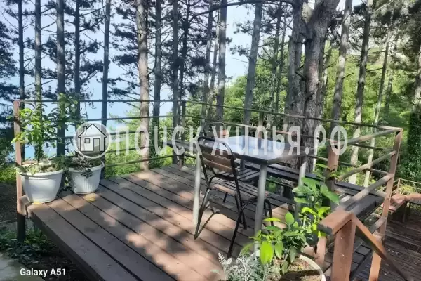 «Сосновая горка» «Сосновая горка»