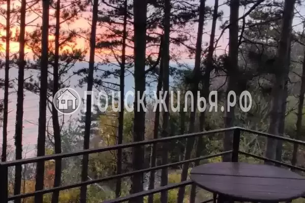 «Сосновая горка» «Сосновая горка»