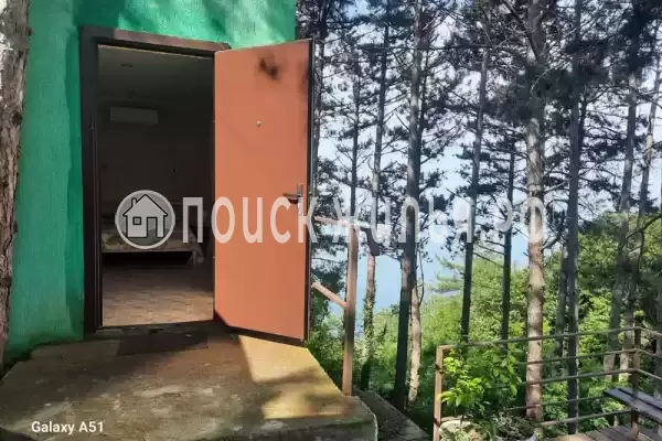 «Сосновая горка» «Сосновая горка»