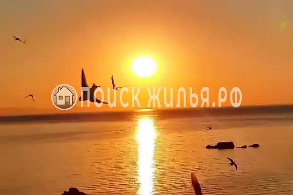 Гостевой дом «Laguna Plus» Гостевой дом «Laguna Plus»