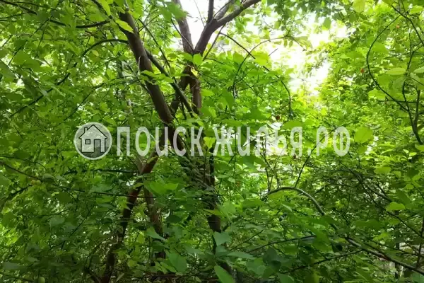 Частный сектор «У Татьяны» Частный сектор «У Татьяны»