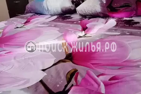 «Фортуна» «Фортуна»