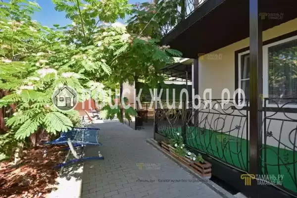 «Фортуна» «Фортуна»