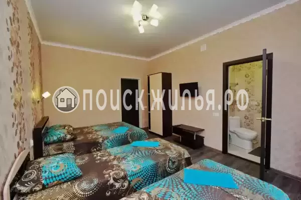 «Абрикос» «Абрикос»