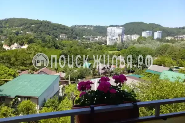 «Дагомыс» «Дагомыс»