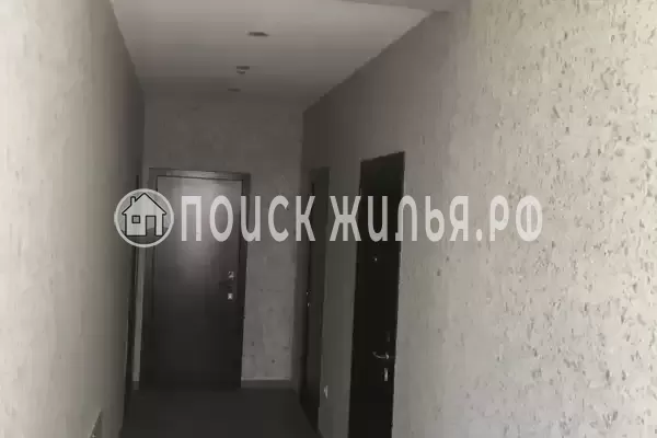 «Антонина»