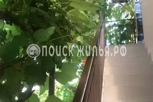 «Антонина»