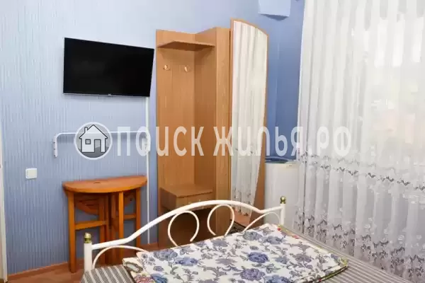 «Елки» «Елки»