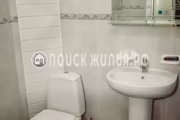 «Елки» «Елки»