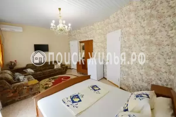 «Елки» «Елки»