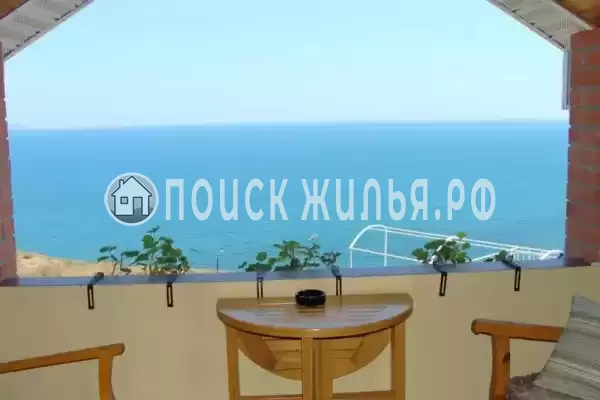 «Елки» «Елки»