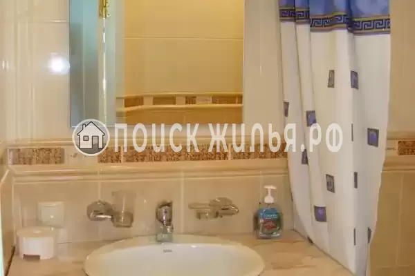 «Елки» «Елки»