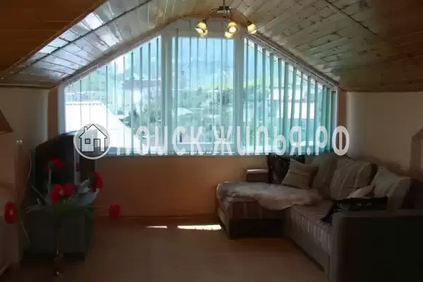 «Елки» «Елки»