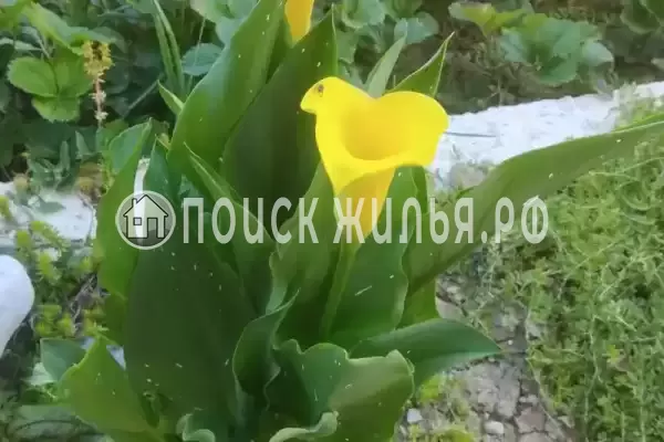 Дом под ключ, Огородный переулок, д.11/117 Дом под ключ, Огородный переулок, д.11/117