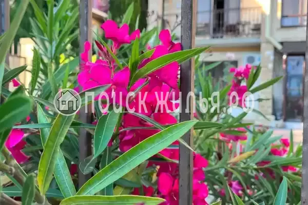 Квартира «На Чистой»