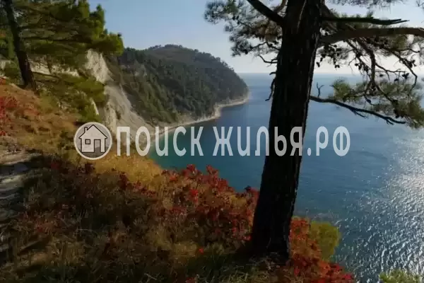 Апартаменты «Скала Парус»