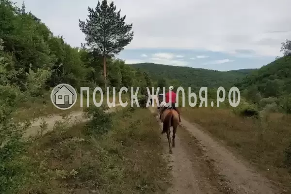 Апартаменты «Скала Парус»