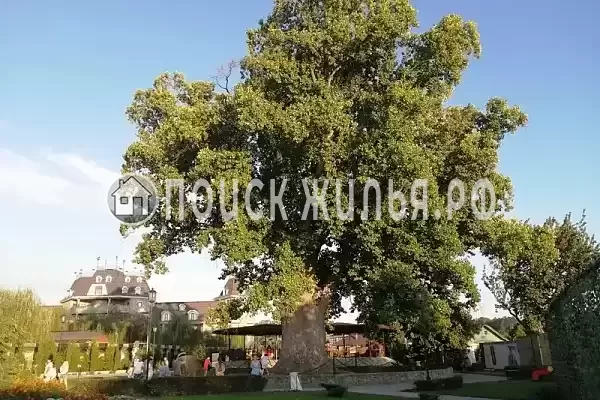 Частный сектор «Семейный таунхаус в морском стиле» Частный сектор «Семейный таунхаус в морском стиле»