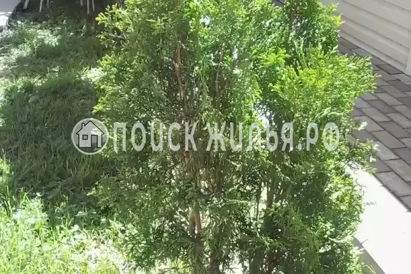 Квартира «Студия в частном доме» Квартира «Студия в частном доме»