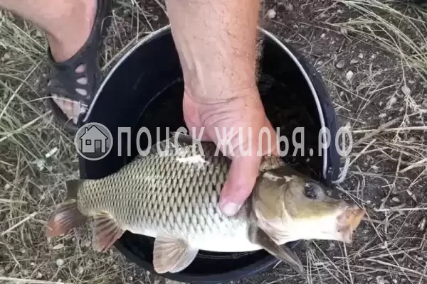 Частный сектор «Азовские жемчужины»