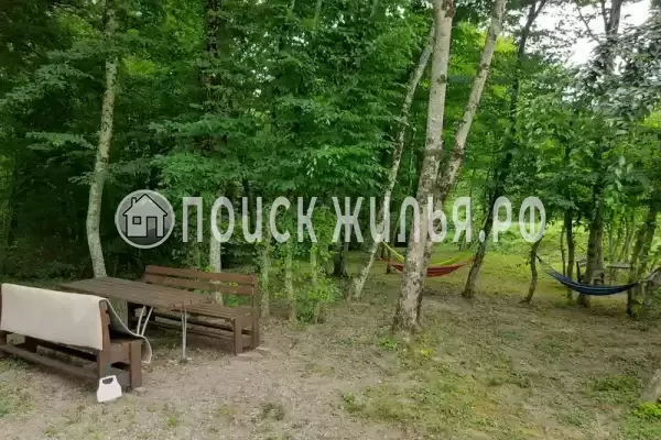 Частный сектор «Домик в лесу у моря» Частный сектор «Домик в лесу у моря»