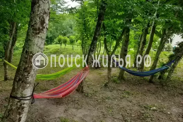 Частный сектор «Домик в лесу у моря» Частный сектор «Домик в лесу у моря»