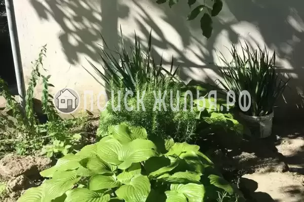 Дом под ключ «Семейный отдых» Дом под ключ «Семейный отдых»