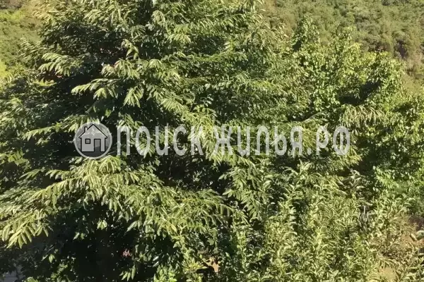 Дом под ключ «Семейный отдых» Дом под ключ «Семейный отдых»