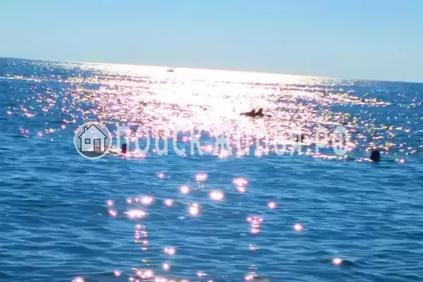 Апартаменты «БлагоДом»