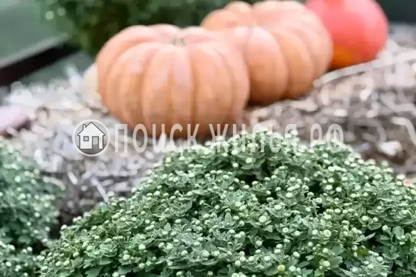 Дом под ключ, Ясная, д.10 Дом под ключ, Ясная, д.10