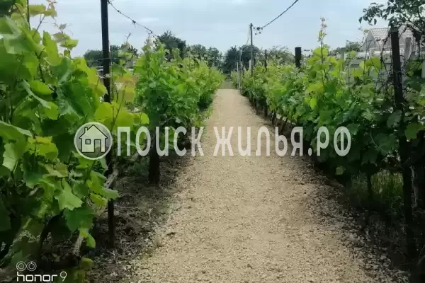 Частный сектор «Bungalo dali»