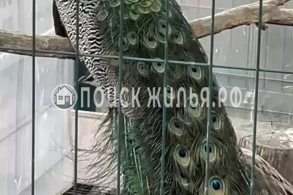 Дом под ключ «Пляжный дом»