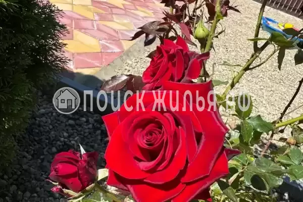 Дом под ключ, Новозападная, д.39