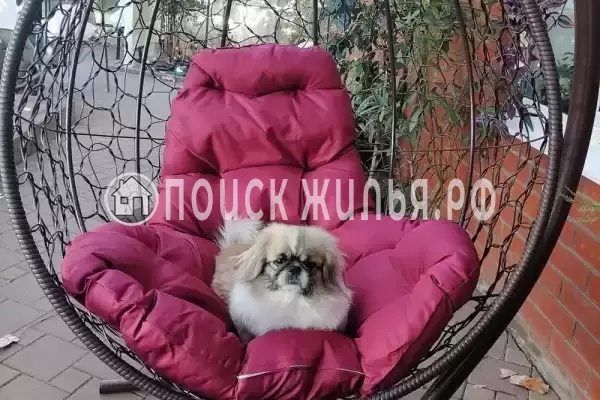 Частный сектор «Комната у моря на Садовой»