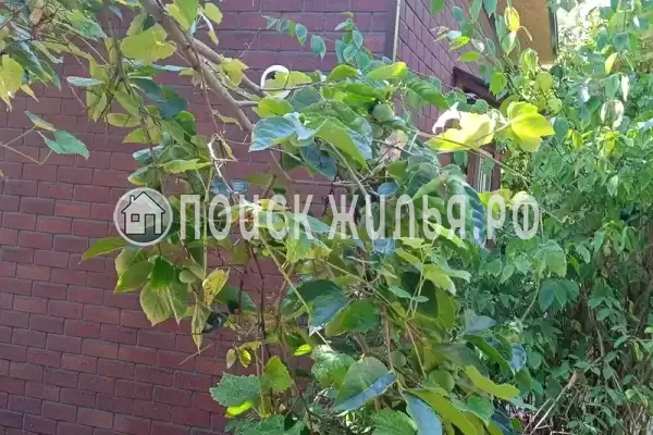 Дом под ключ, Главная, д.59