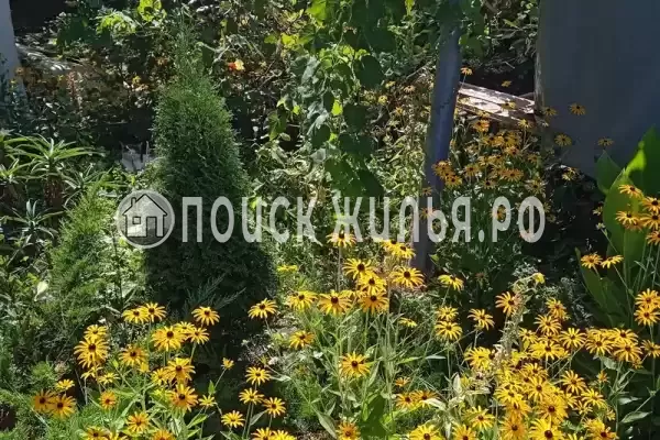 Дом под ключ, Главная, д.59