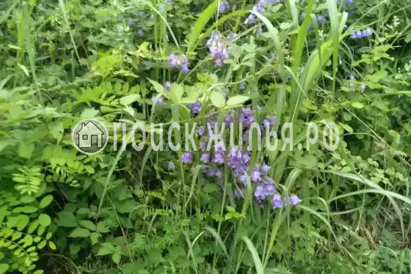 Дом под ключ «Лесной» Дом под ключ «Лесной»