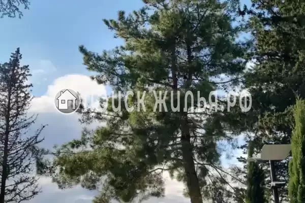 Апартаменты «Луч» Апартаменты «Луч»