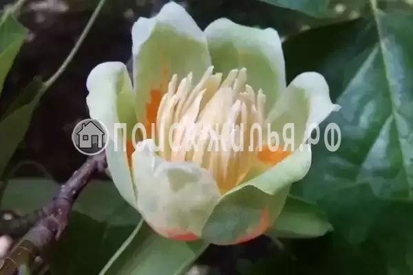 Частный сектор «Самара» Частный сектор «Самара»