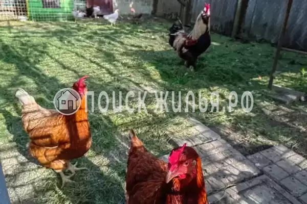 Дом под ключ «Светлана» Дом под ключ «Светлана»