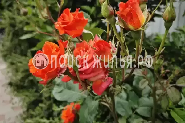 Квартира, Зеленая, д.10А