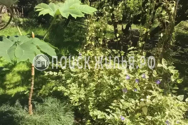 Дом под ключ «Отдых у Риты» Дом под ключ «Отдых у Риты»