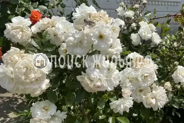 Дом под ключ «Отдых у Риты» Дом под ключ «Отдых у Риты»