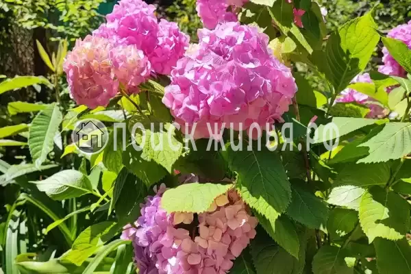 Частный сектор, Пр-кт Владислава Ардзинба, д.134